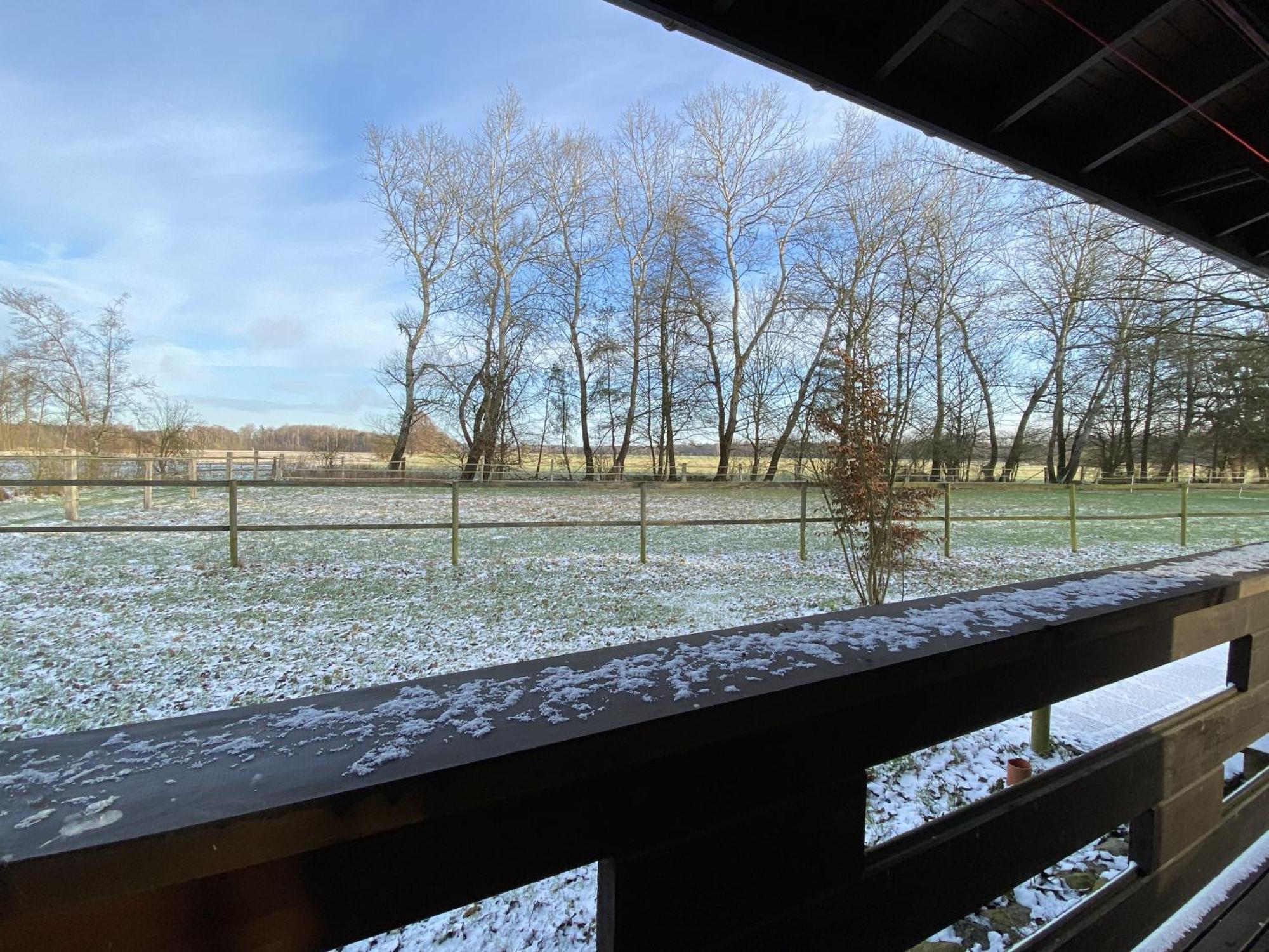 Heidegut Eschede Reitsportanlage und Feriendorf Exterior foto