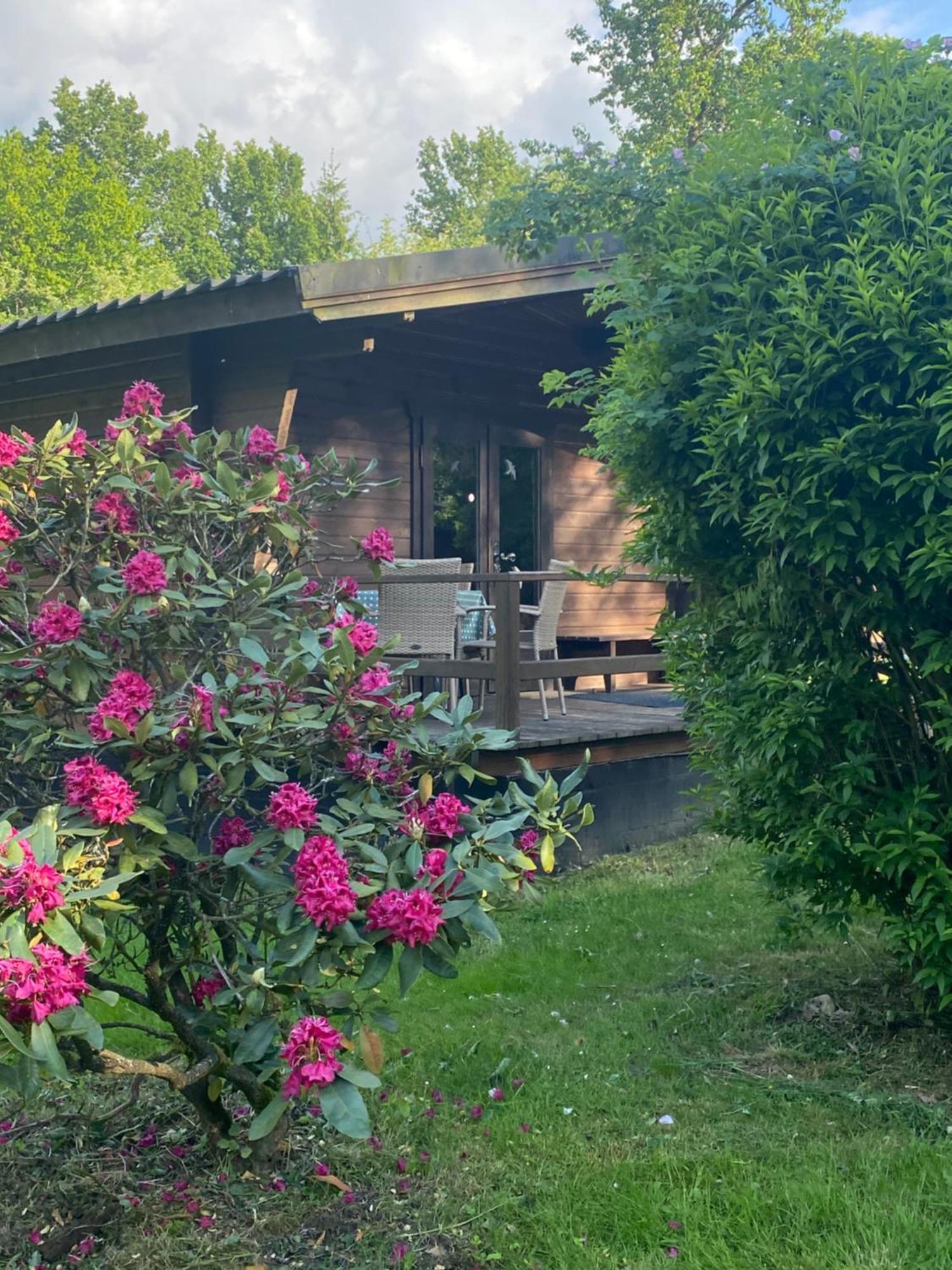 Heidegut Eschede Reitsportanlage und Feriendorf Exterior foto