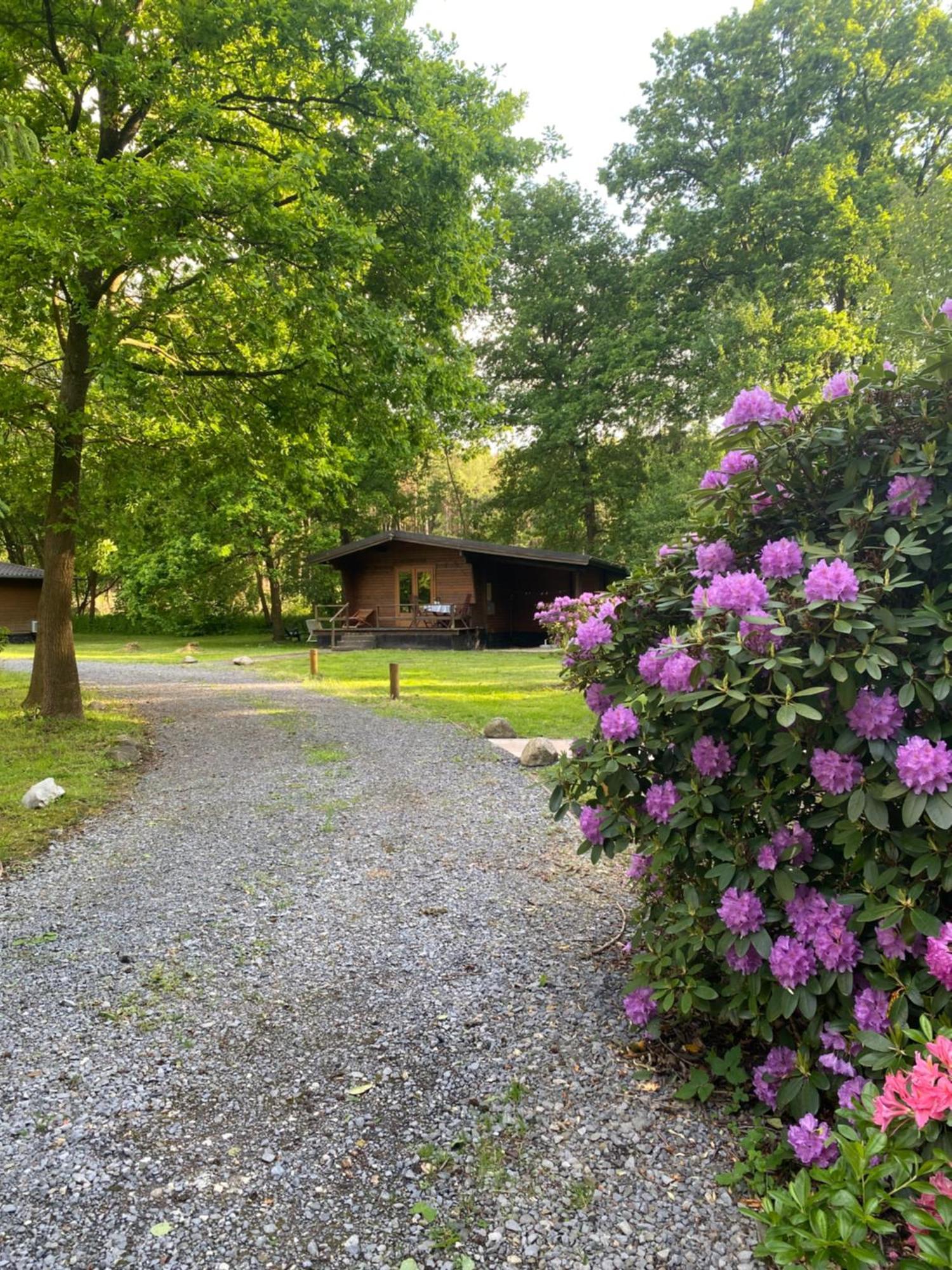 Heidegut Eschede Reitsportanlage und Feriendorf Exterior foto