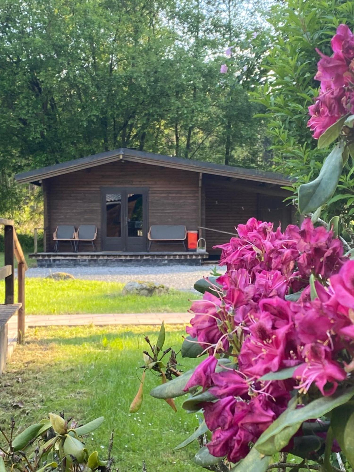 Heidegut Eschede Reitsportanlage und Feriendorf Exterior foto