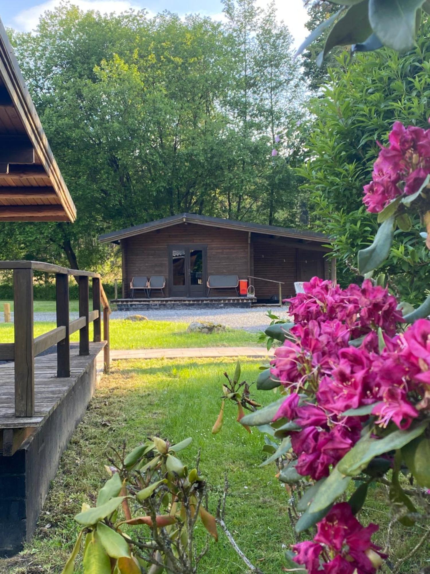 Heidegut Eschede Reitsportanlage und Feriendorf Exterior foto