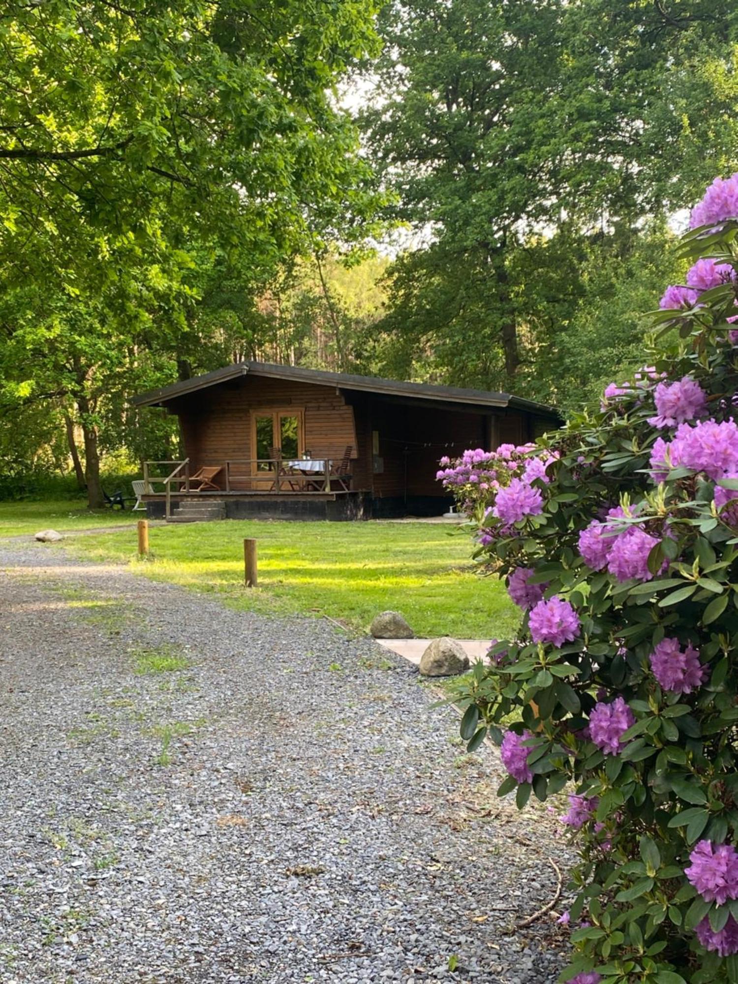 Heidegut Eschede Reitsportanlage und Feriendorf Exterior foto