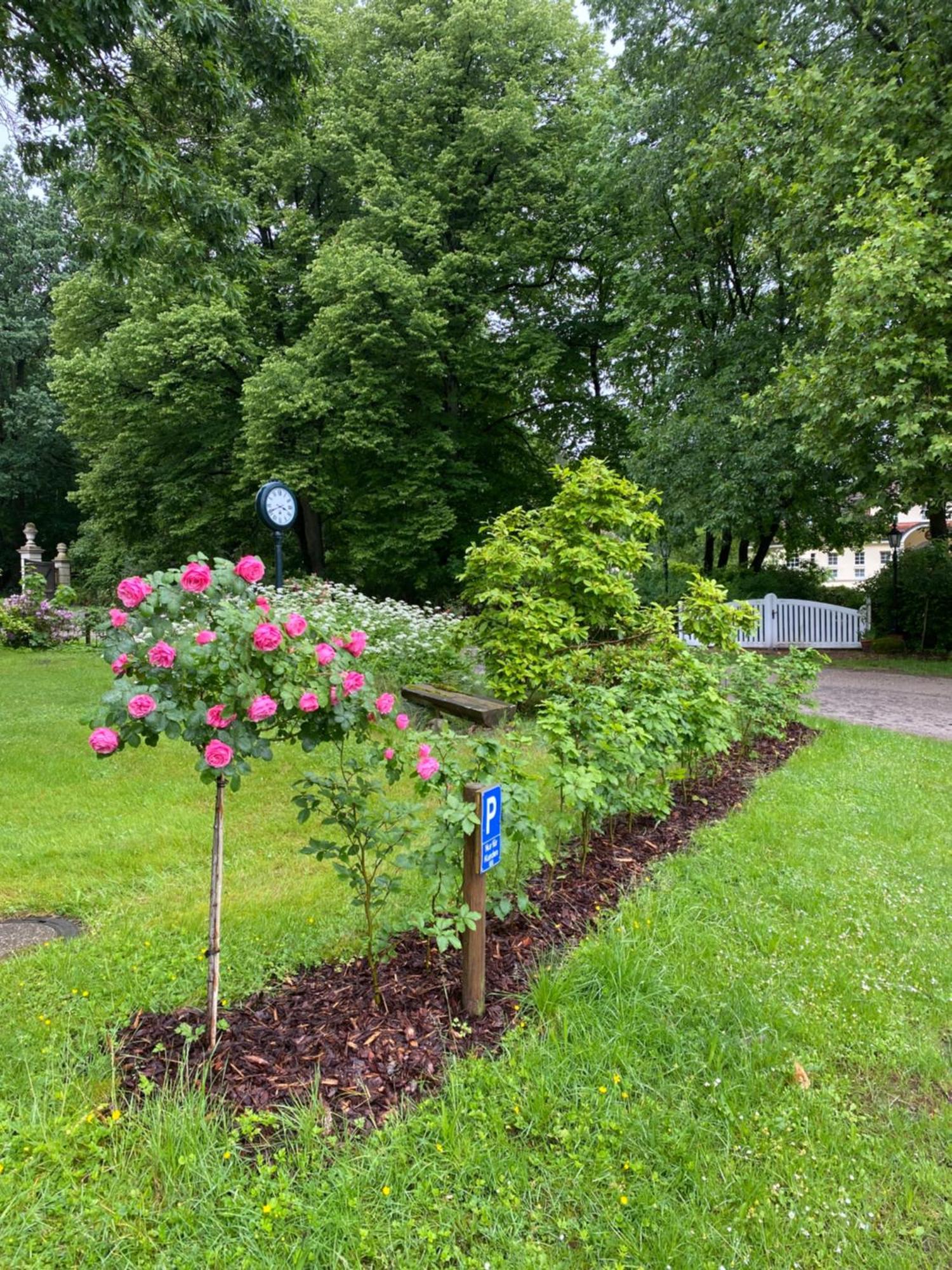 Heidegut Eschede Reitsportanlage und Feriendorf Exterior foto