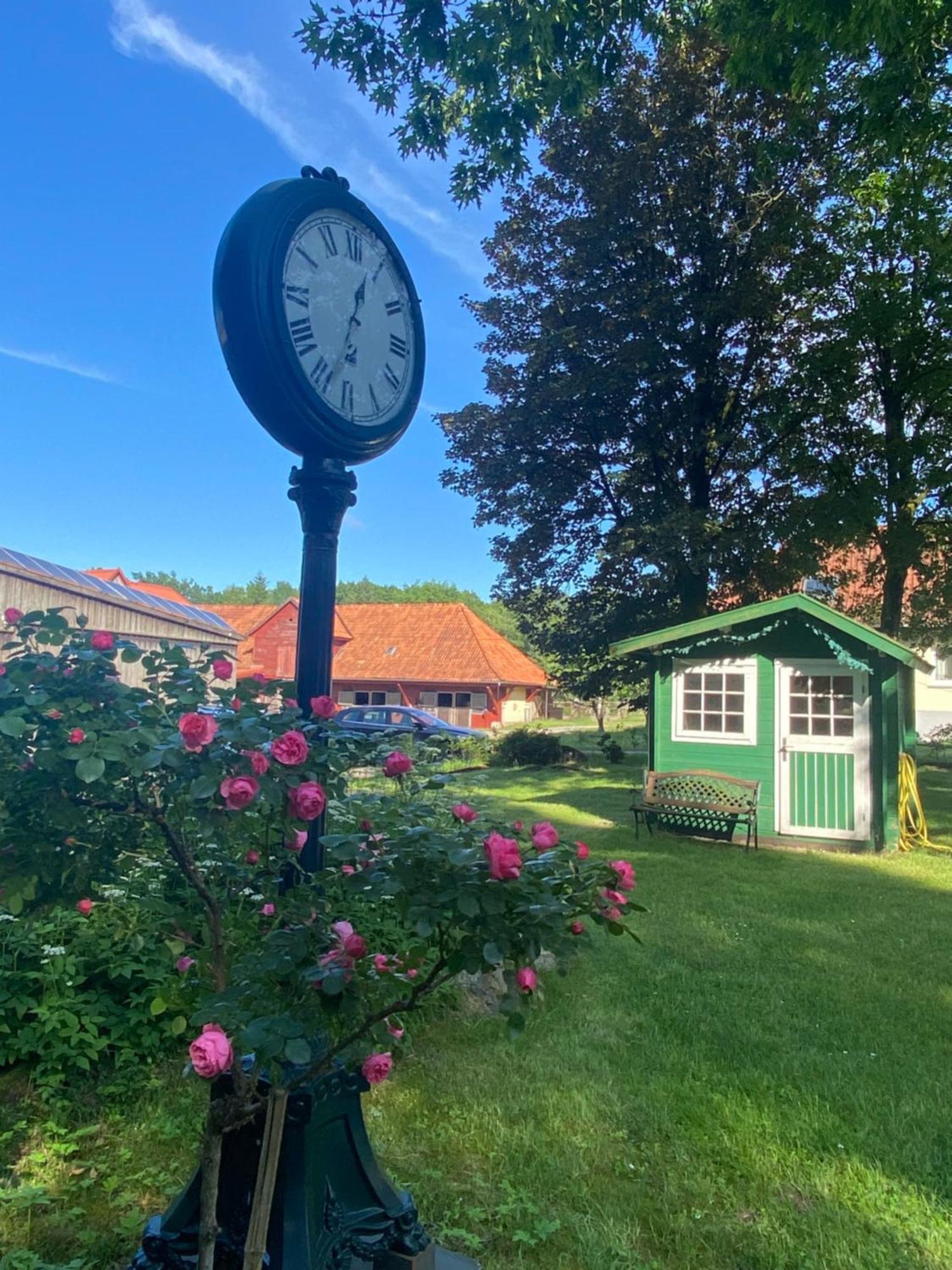 Heidegut Eschede Reitsportanlage und Feriendorf Exterior foto