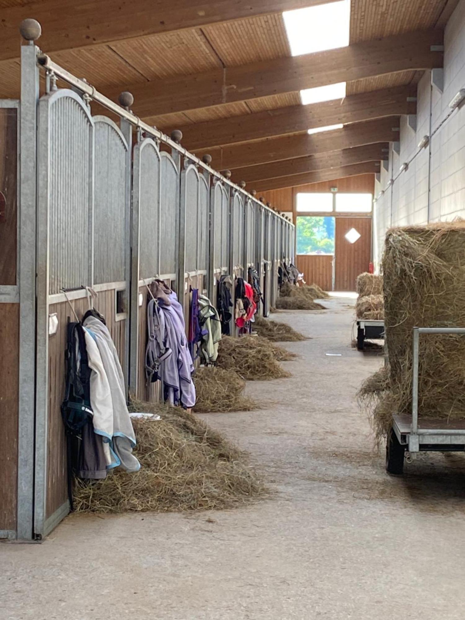 Heidegut Eschede Reitsportanlage und Feriendorf Exterior foto