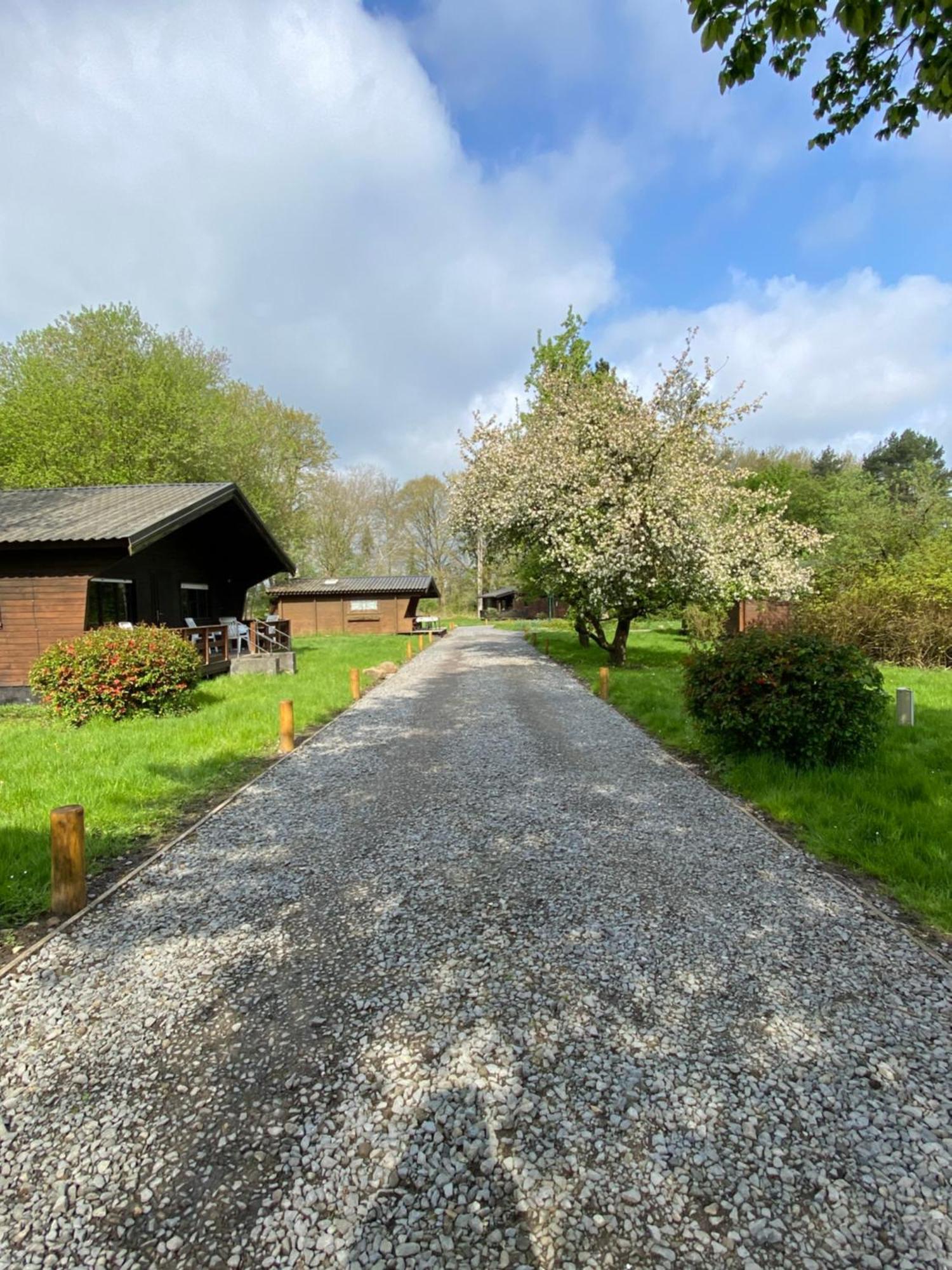 Heidegut Eschede Reitsportanlage und Feriendorf Exterior foto